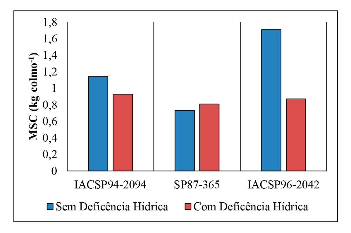 Massa seca de colmos de três cultivares de cana-de-açúcar (IACSP94-2094, SP87-365 e IACSP96-2042) cultivadas sem e com deficiência hídrica aplicada na fase inicial de crescimento (Fonte: adaptado de RIBEIRO et al., 2013).