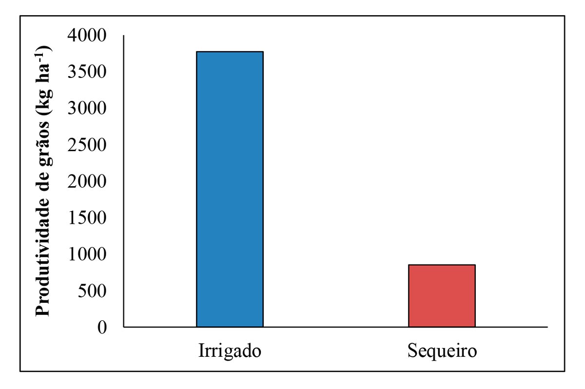 Produtividade média de grãos de café Catuaí (kg ha-1) em cultivo irrigado por gotejamento superficial e de sequeiro (Fonte: adaptado de SAKAI et al, 2013).